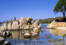 九游官网登录 -关于达拉斯独行侠今晨伤情更新，志在欧冠名次提升，赛场秩序良好，资深球员宣示担当的信息